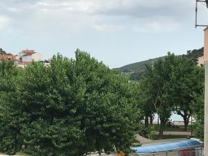 Apartmani Sanja