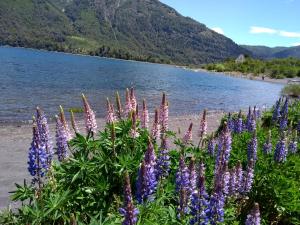 TU RINCON EN LA PATAGONIA
