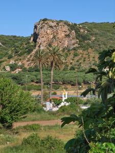 Cormoranos Apartments Eco Green Chania Greece