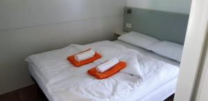 Mobile Homes and Apartment - Terme Čatež