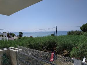 Beachfront Eva's House Kavala Greece