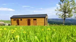 Urtica apartmány - Litvínov