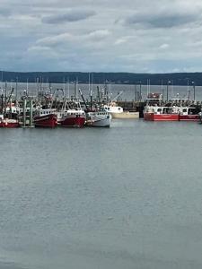 . The Crow's Nest, Digby - Shore Thing Seafood - Galley & Quarters