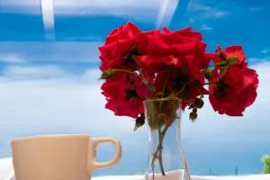 Stathis Home - Exanthia