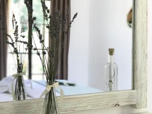 Studios Estrella del mar