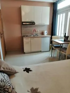 Studio Apartman Irena 2 - Rake