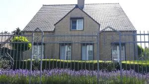 Hemelse Helderheid - Guelle