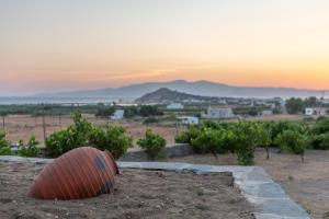 Naxian Pearl Naxos Greece