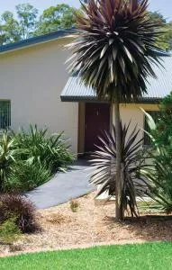 Parker by the Sea - Mogo