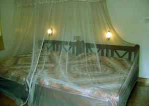 Palm Garden Home Stay