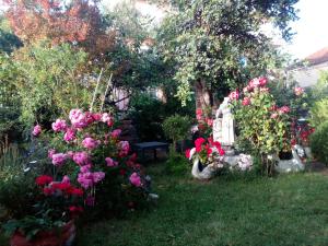 Two-Bedroom Apartment room in Apartmani Nado Majica
