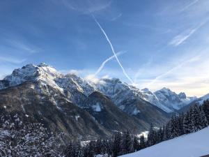 Apartments Morandell