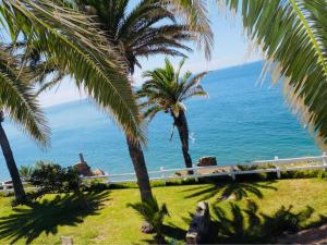 Ocean Front Baja Vacation