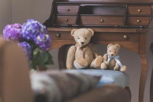 Luxury Apartment Padre Pio