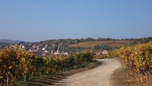 Maisons de vacances Gite Le Petit Moulin : photos des chambres