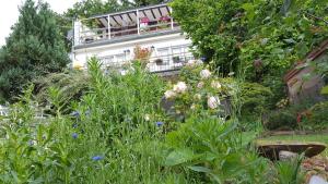 B&B / Chambres d'hotes Les Iris Chambres d’hote : photos des chambres