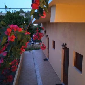 Thaleia Studios & Apartments Corfu Greece