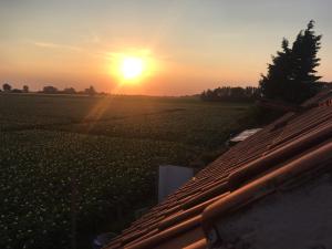 Authentic Farmhouse, near beach