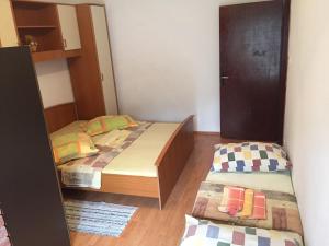 The view