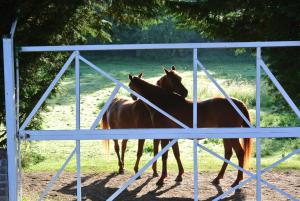 Appartements Holiday home on farm (La Ferme du Tao) : photos des chambres