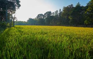 Hirvate Estate Crawford House