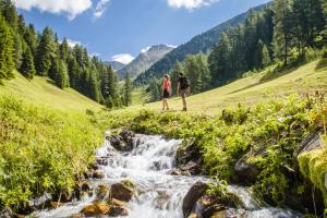 Via Magdalena 4, I-390 30 Valle di Casies, BZ, South Tyrol, Italy.