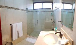 Green Forest Rustic Houses