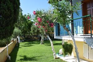 Elena Apartments Messinia Greece