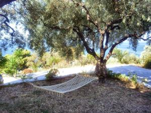 Nemesis Skopelos Greece