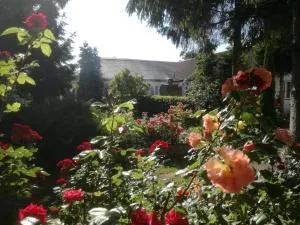 Chata Pod Różą - Czaplin Mały