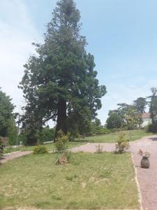 Le Manoir Sequoia photo 12