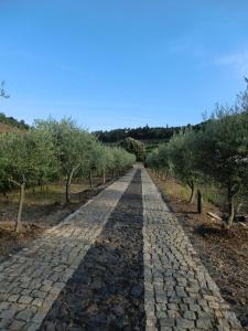 Quinta das Aveleiras