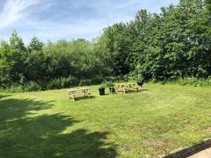 Empty lot - Bring your own Tent  room in Hestkær Family Rooms Summer Camp
