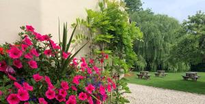 Hope Orchard En-Suite Rooms