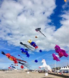 Appartements Les Cerfs Volants 2 a 4 pers : photos des chambres