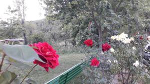Agriturismo Rio Ricco
