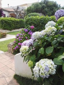 appartamento con vista piscina img9