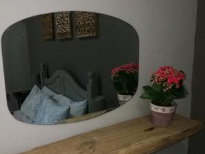 MacNut Bed and Breakfast