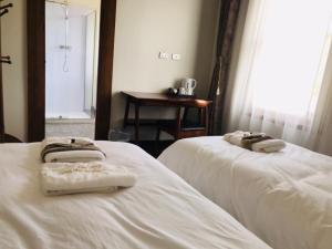 Te Puia Hot Springs Hotel