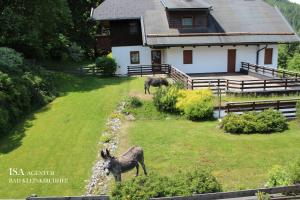 Ski-to-door DORFBLICK Diamant Apartment