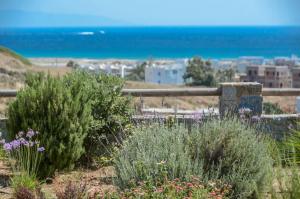 Naxos Luxury Villas Naxos Greece