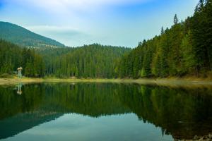 Eco Centr Zrub