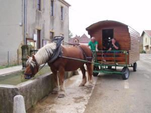 Auberges Auberge Le Sillet : photos des chambres