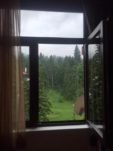 VIVA Flora apartment 607A