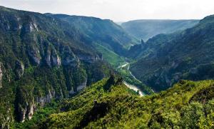 B&B / Chambres d'hotes Les GARGOUILLES Gorges du Tarn - Millau : photos des chambres