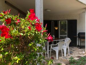 Celesta Garden apartment Istria