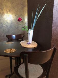 Trakai Old town Apartment