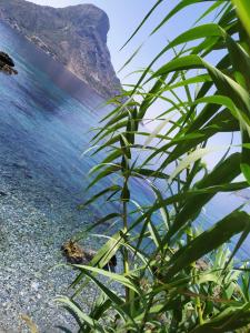 Fatolitis Studios Kalymnos Greece