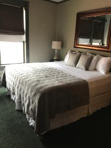Deluxe King Room room in Hotel Garza