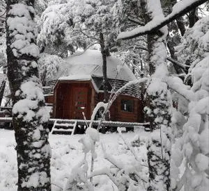 Domos Entre Bosques - Malalcahuello